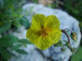 DSC00033